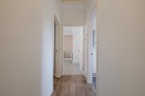 Property to rent in Bell Street Bellshill