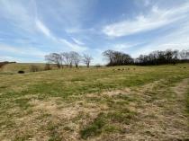 Property to rent in Brooke View Farm, Hamilton, ML3 7XN