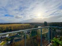 Property to rent in Silvertrees Wynd, Bothwell, Glasgow, G71 8FH