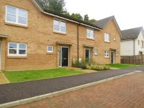 Property to rent in Black Grouse Grove, Ferniegair, Hamilton, ML3 7GH