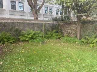 Property to rent in Skene Terrace, City Centre, Aberdeen, AB10 1RN