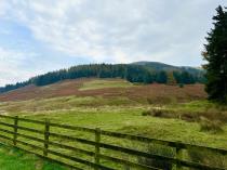 Property to rent in Glan Manor Cottage, Langhaugh Farm, Peebles, EH45 9JP