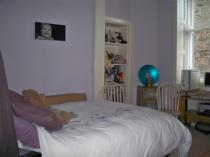 Property to rent in Marionville Road