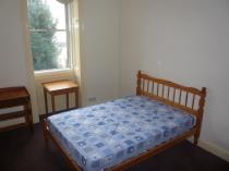 Property to rent in Dalziel Place