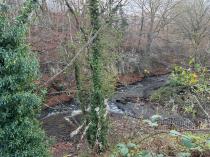 Property to rent in 41 OLD DALMORE DRIVE, AUCHENDINNY