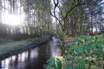 Property to rent in Wester Auchentroig, Buchlyvie, Stirling, FK8 3PB