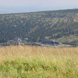 tam jedem