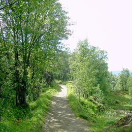 Cesta "růžovou zahradou".
