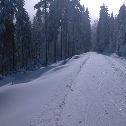 Momentky z Velkého Šengenu (Paprsek)