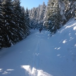 opravdová klasika