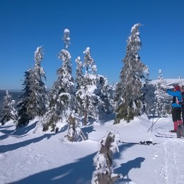 pohled na Krkonoše ze Šušiny