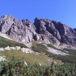 Žerucháče