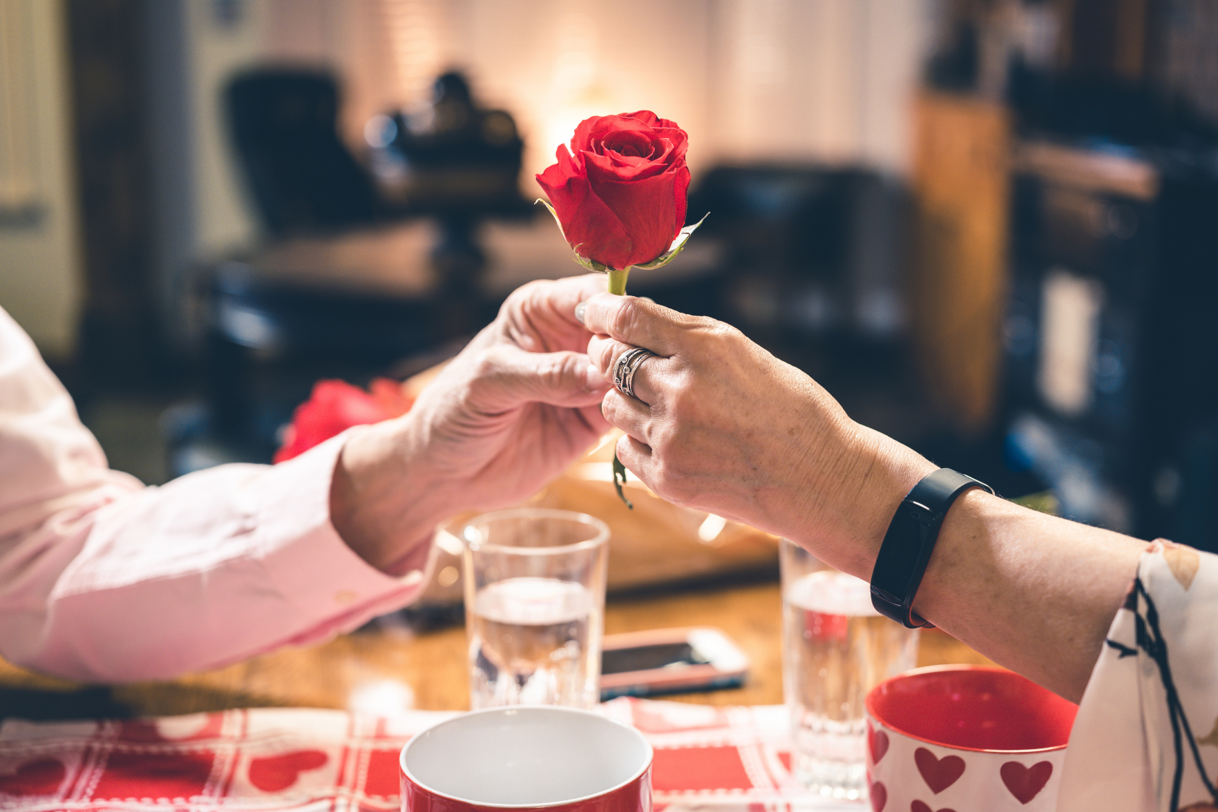 A rose being given to a Valentine