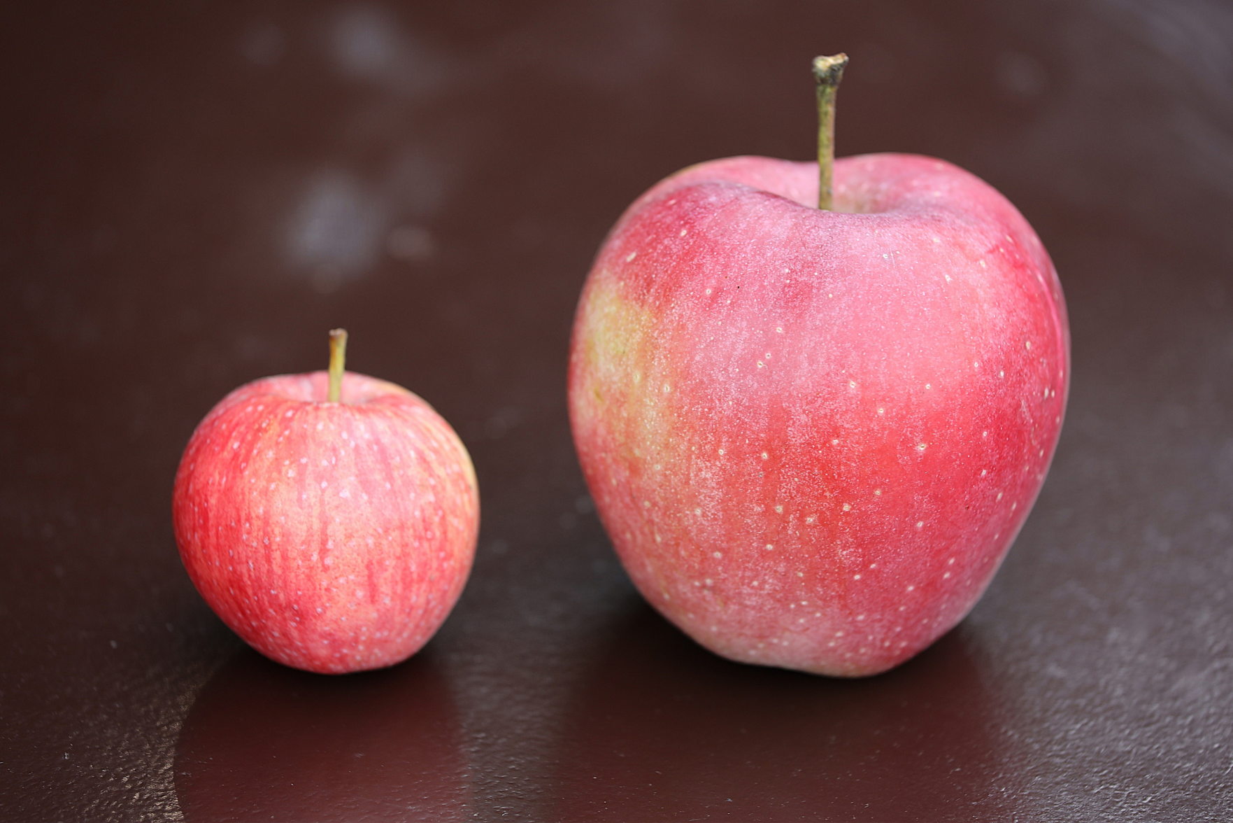 A large and small apple