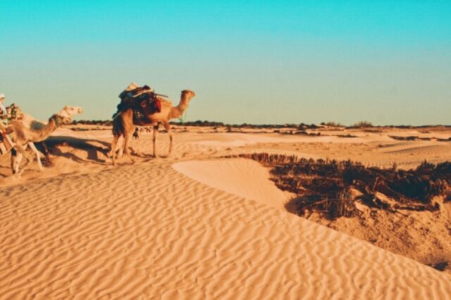A desert in Tunisia