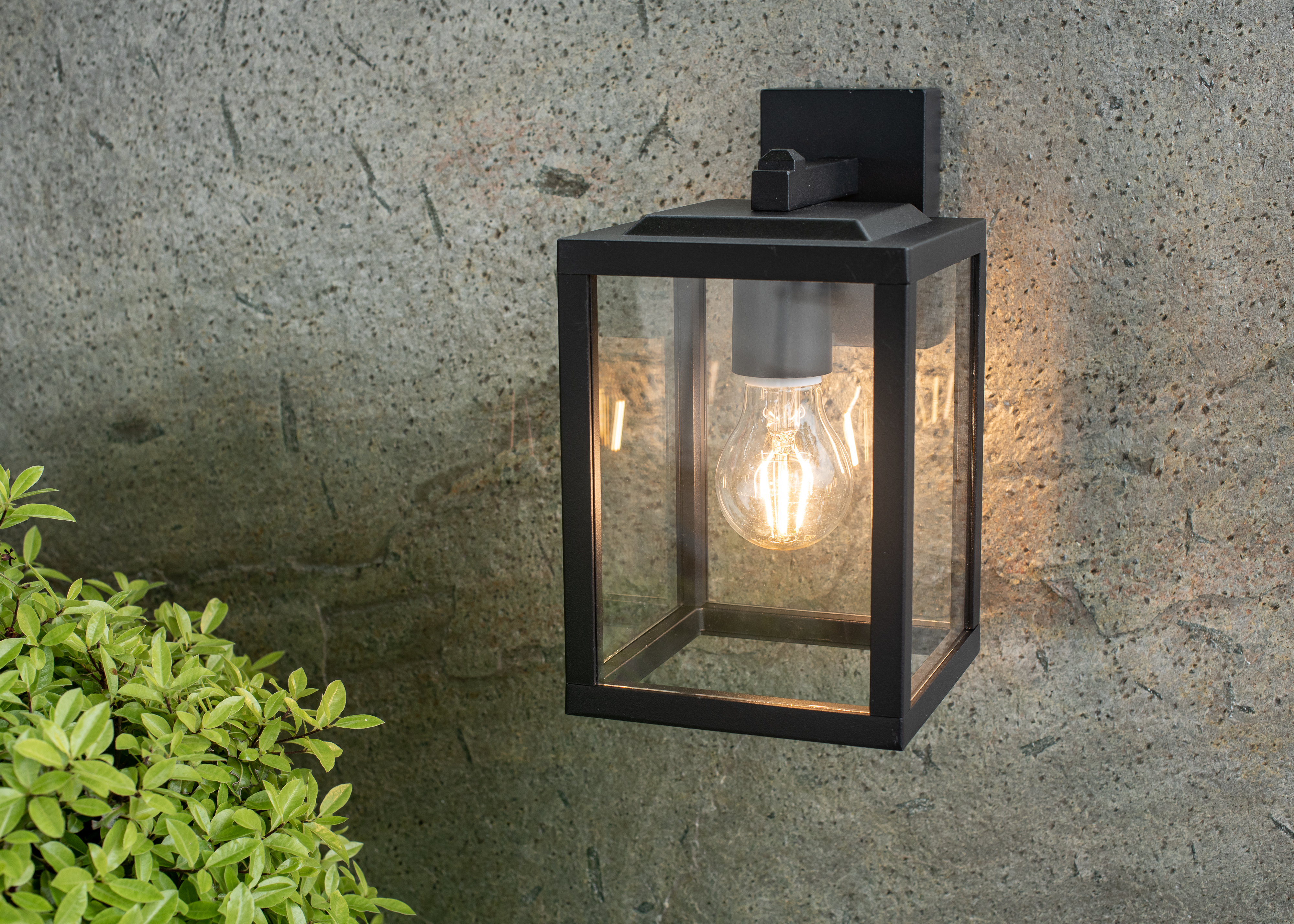 Lantern Lantern