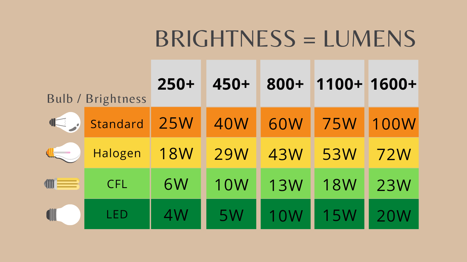 Guide to bulbs