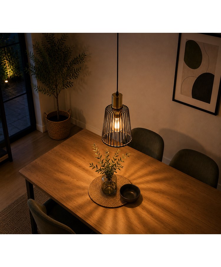 Bird Cage Black and Gold Frame Pendant Light Bird Cage Black and Gold Frame Pendant Light