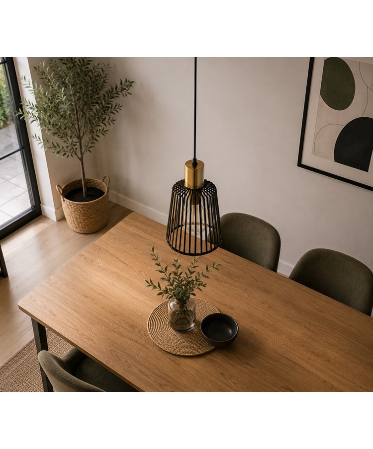 Bird Cage Black and Gold Frame Pendant Light Bird Cage Black and Gold Frame Pendant Light