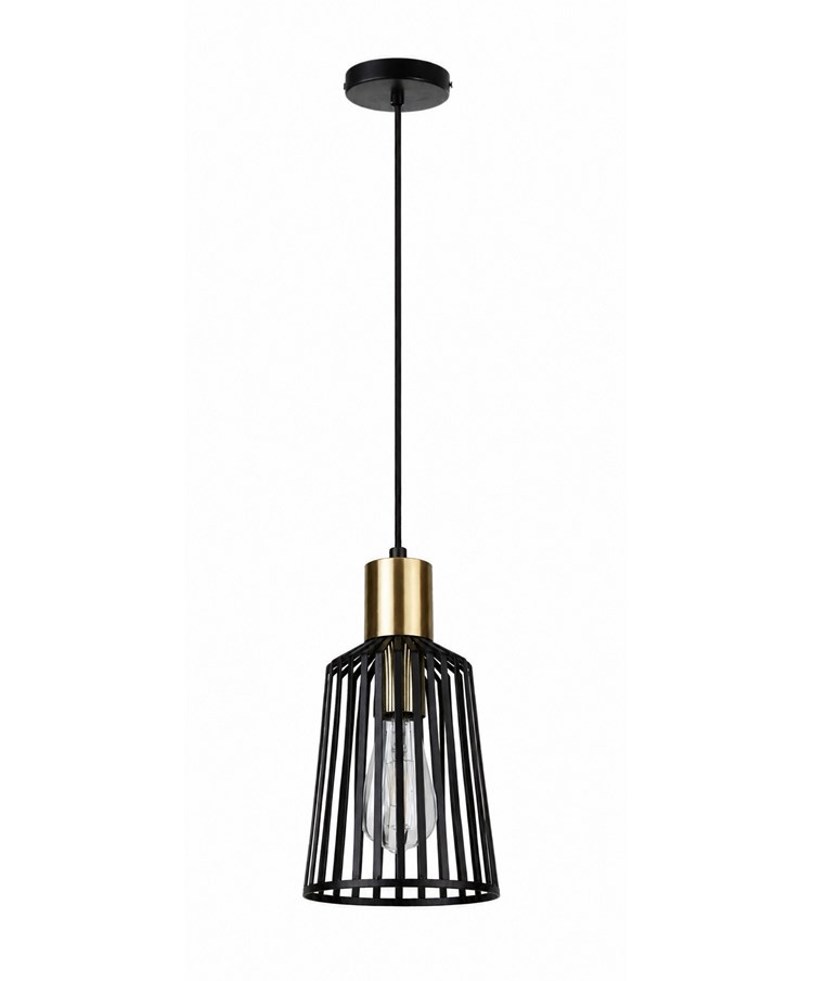 Bird Cage Black and Gold Frame Pendant Light