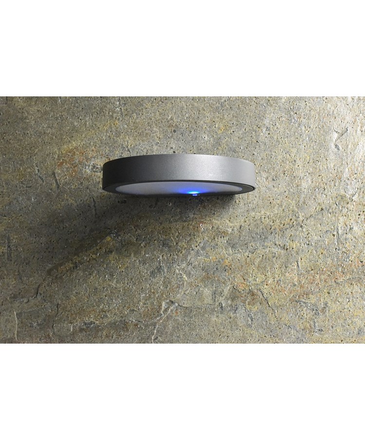 Patilo Solar Rechargeable Outdoor Disc Wall Light - Black Patilo Solar Rechargeable Outdoor Disc Wall Light - Black