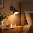 Ardley Dark Grey Unswitched Adjustable Directional Head Wall Light