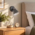 Ardley Dark Grey Switched Adjustable Directional Head Wall Light