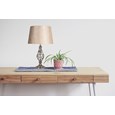 Queenswood Barley Twist Table Lamp with Charcoal Gold Shade - Silver Chrome