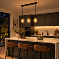 Pozueta Black Pendant Ceiling Light