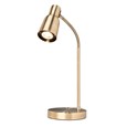 Clarity Antique Brass Reading Lamp