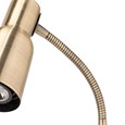 Clarity Antique Brass Reading Lamp