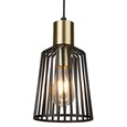 Bird Cage Black and Gold Frame Pendant Light