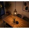 Bird Cage Black and Gold Frame Pendant Light