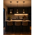 Bird Cage Black and Gold Frame Pendant Light