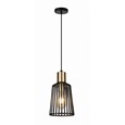Bird Cage Black and Gold Frame Pendant Light