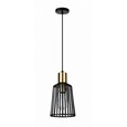 Bird Cage Black and Gold Frame Pendant Light