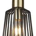 Bird Cage Black and Gold Frame Pendant Light