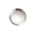 Satin Silver Opal Glass Flush Light