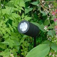 Elipta Compact Spike Spotlight - Black - 240v GU10