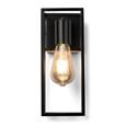 Hobart Modern Matt Black Cage Metal Vintage Wall Light