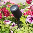Patilo Compact Spike Spotlight 12V MR16 - Black - 12v MR16