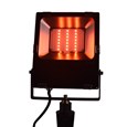 Patilo RGB + CCT LED Floodlight 30w 240v