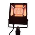 Patilo RGB + CCT LED Floodlight 30w 240v