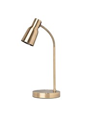 Clarity Antique Brass Reading Lamp