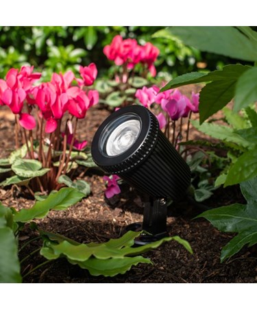 Patilo Tern Coastal Spike Spotlight - GU10 - 240v Patilo Tern Coastal Spike Spotlight - GU10 - 240v