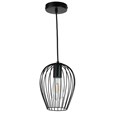 Newtown Black Single Caged Pendle Light - Modern Industrial Light