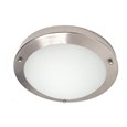 Satin Silver Opal Glass Flush Light