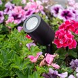 Patilo Compact Spike Spotlight 240V GU10 - Black - 240v