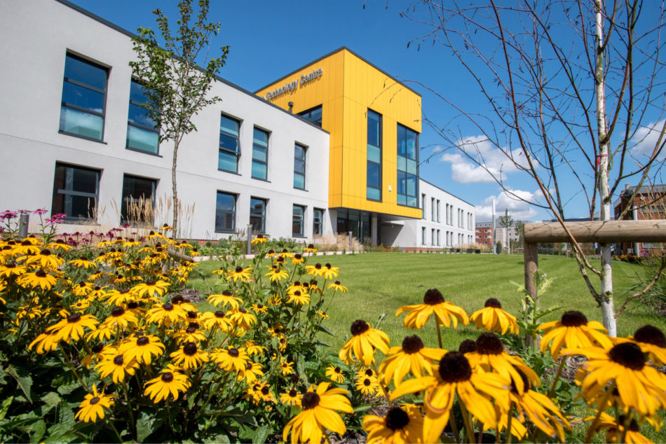 Lsip Exterior 9