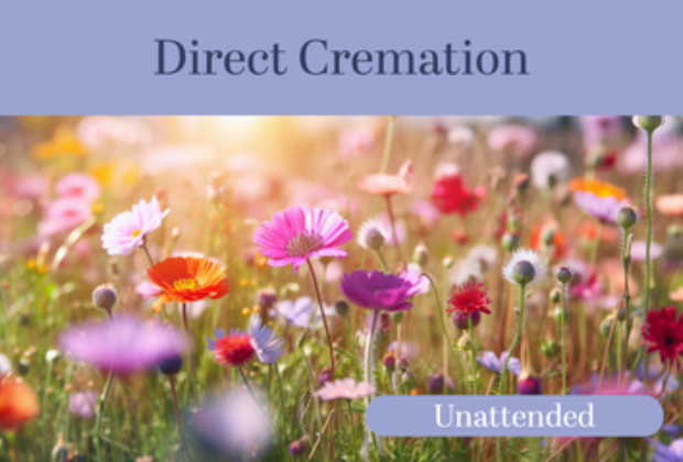 Photo of Direct Cremation for panel